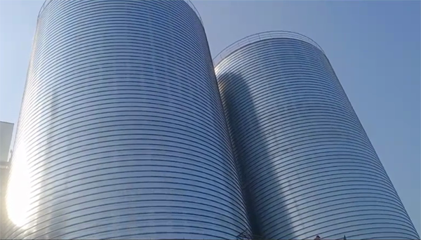 天柱2座混凝土高架卷板仓